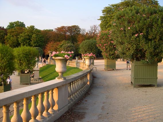  vasques de fleurs et arbustes, jardin du Luxembourg